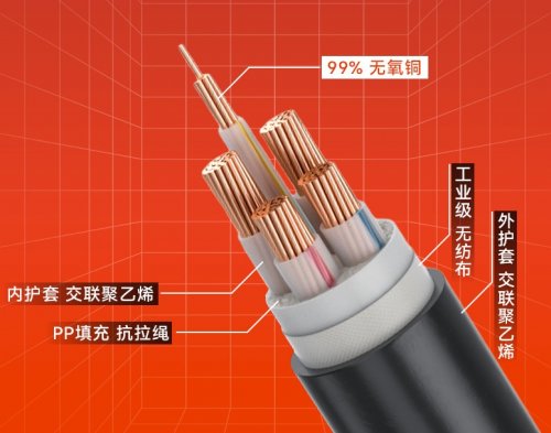 如何选择与识别常见电缆类型?